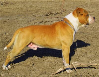 Ruffue